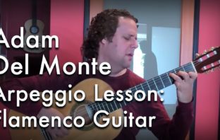 Arpeggio and Right Hand Lesson with Adam Del Monte