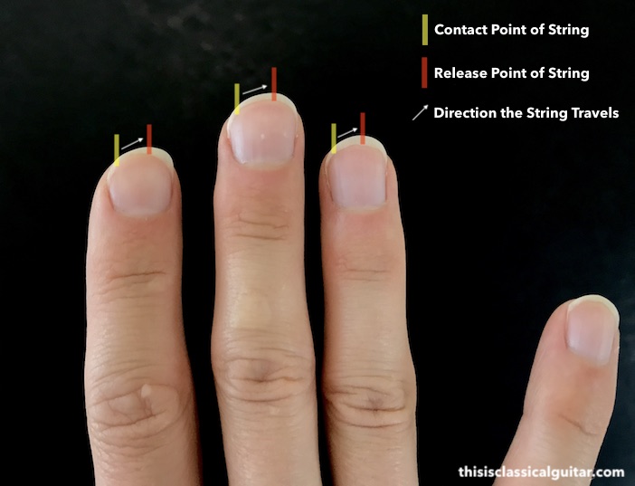 Fingernail Diagram for Classical Guitar - How to Shape your Nails