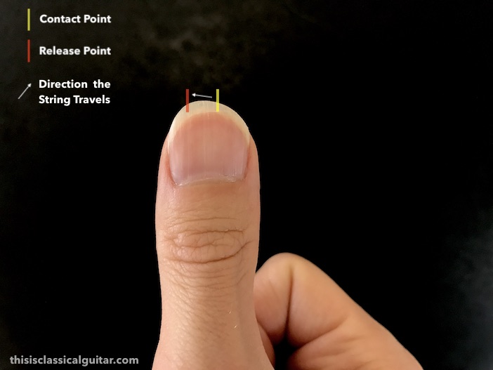 Fingernail Diagram for Classical Guitar - Thumb Nail Shape