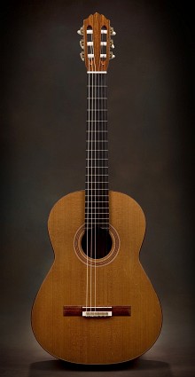 Douglas Scott - Short Scale Guitar