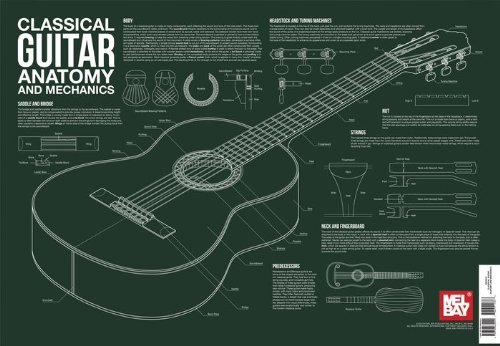Review Classical Guitar Anatomy And Mechanics Poster