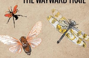 The Wayward Trail by Elliot Simpson