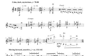Three Nocturnes by Michael Karmon