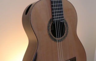 2016 Dominelli Double Top Guitar (Sold)