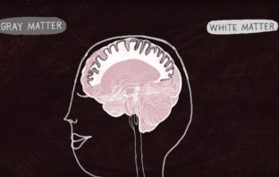 Ted-Ed – How to practice effectively