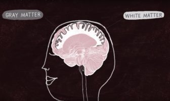 Ted-Ed – How to practice effectively