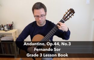 Grade 3 Lesson: Andantino, Op.44, No.3 by Sor