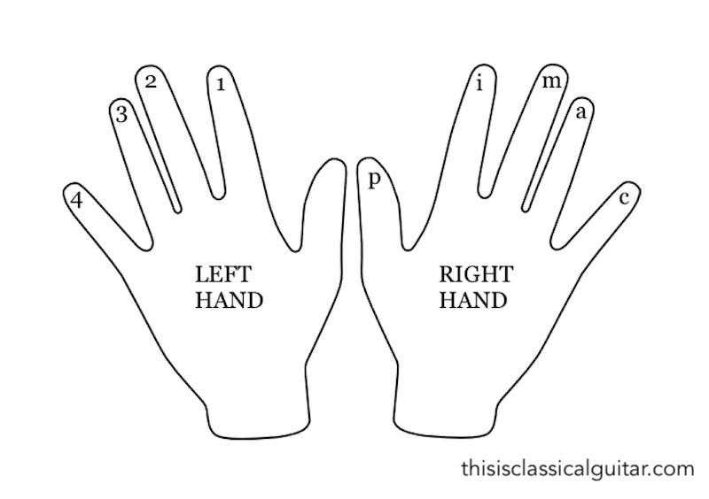 Finger Names for Classical Guitar This is Classical Guitar