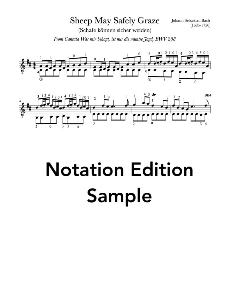 Sheep May Safely Graze, BWV 208 by Bach (Sheet Music Sample)
