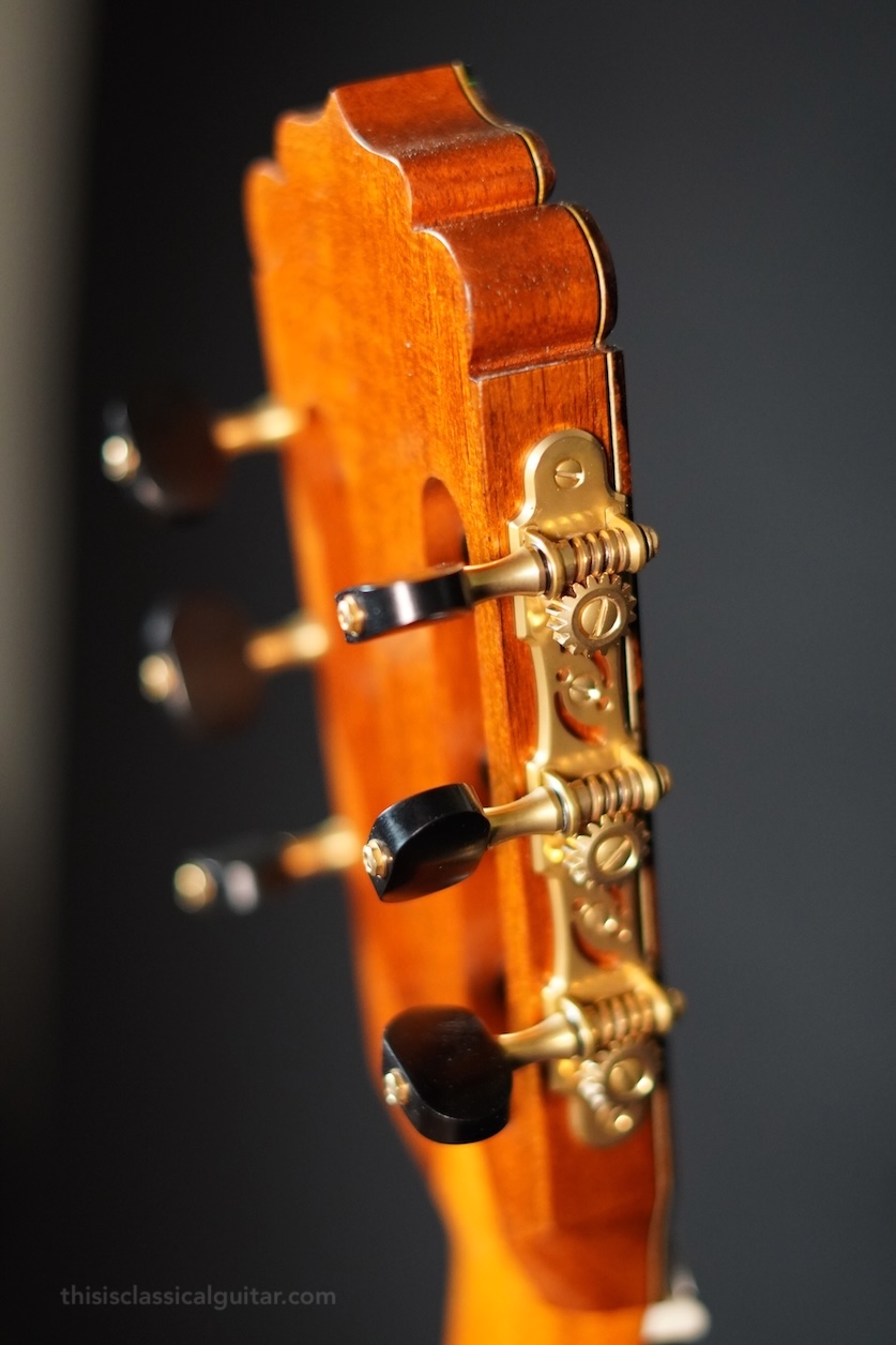 Dominelli Classical Guitar - Head