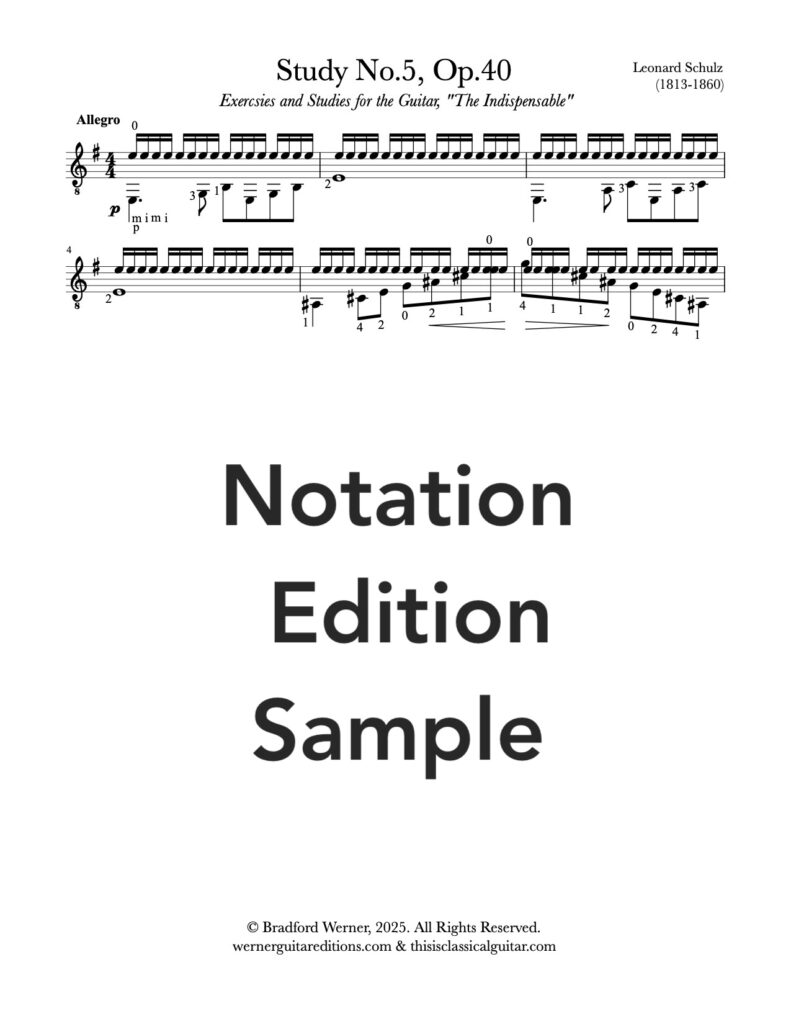 Study No.5, Op.40 by Schulz - Sample