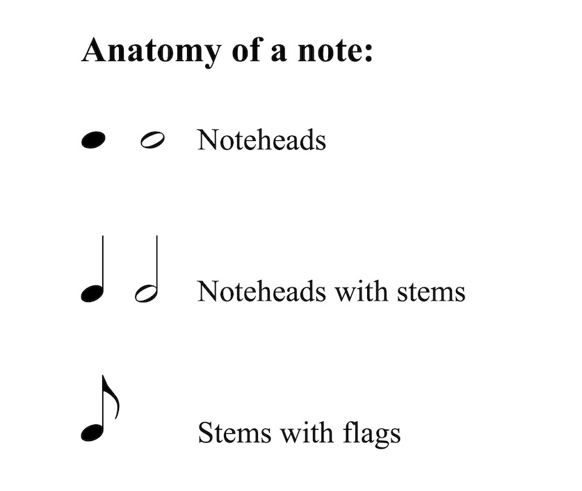 Anatomy of a note